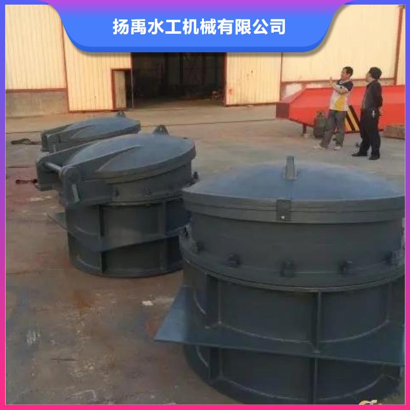 拍门,卷扬启闭机匠心制造