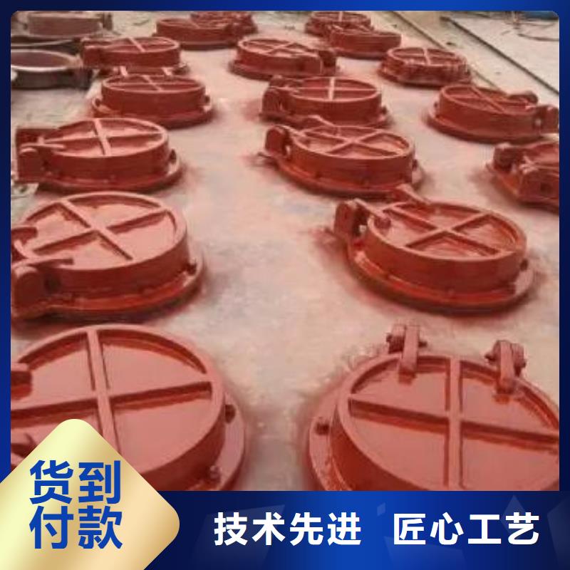 拍门,钢制闸门实体厂家支持定制
