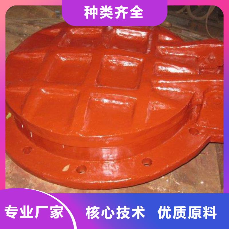 【拍门_不锈钢拍门来图定制量大从优】