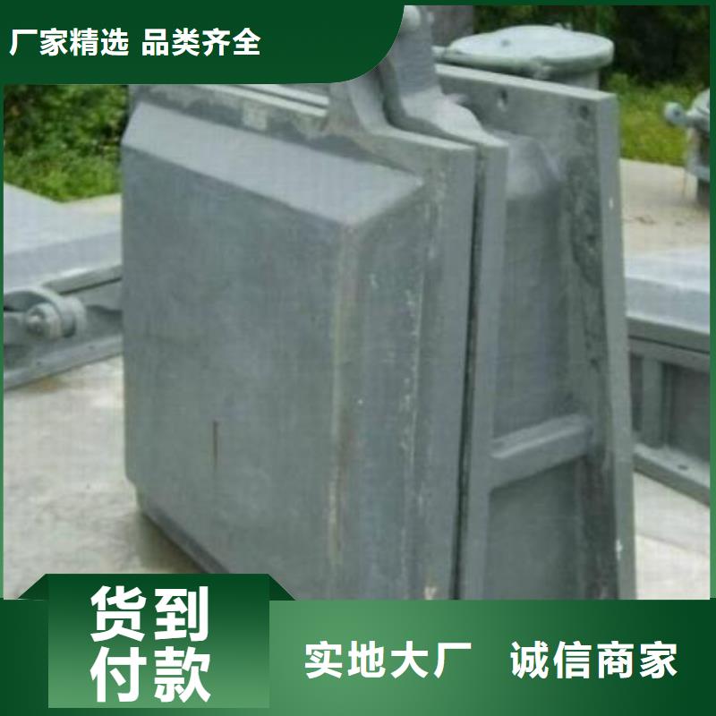 拍门螺杆启闭机优质货源