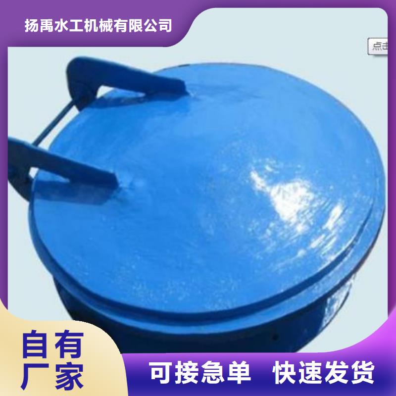 【拍门铸铁闸门源头厂家来图定制】