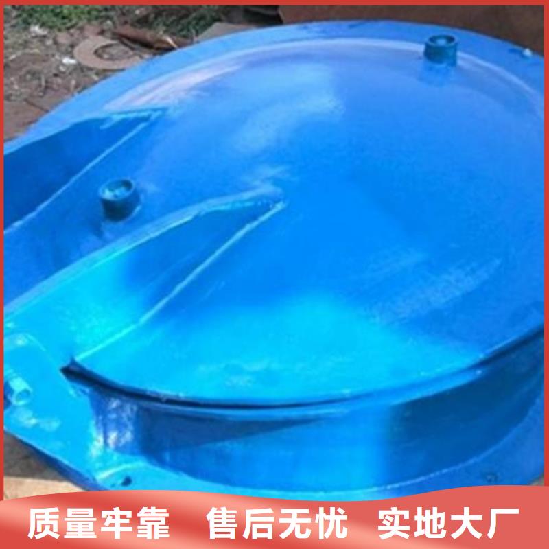 拍门,钢制闸门实体厂家支持定制