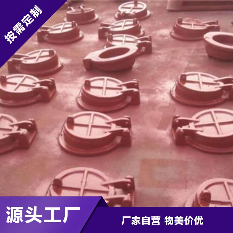拍门,钢制闸门实体厂家支持定制