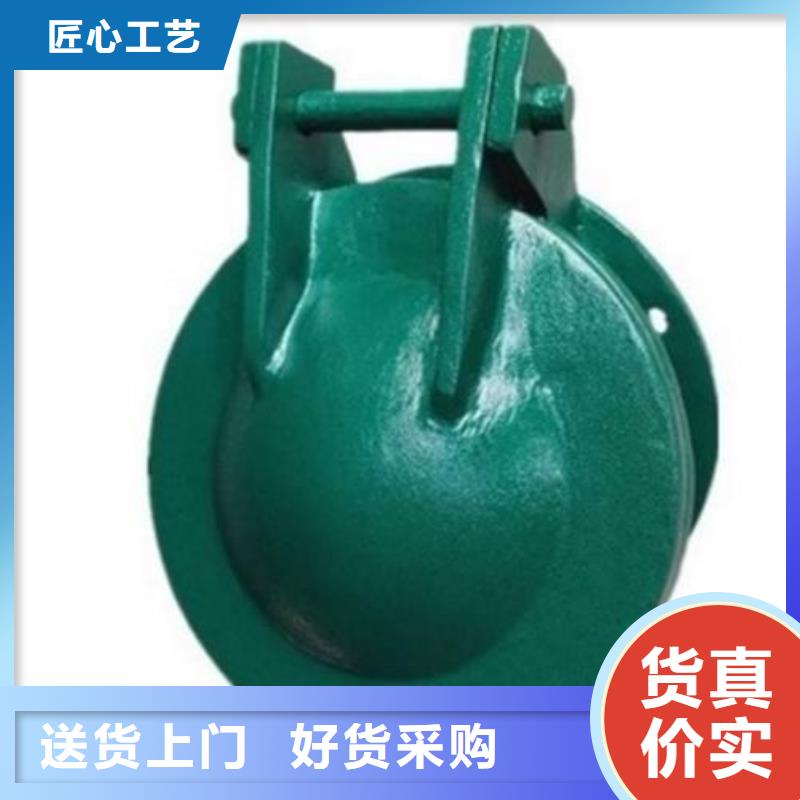 拍门卷扬启闭机厂家直销供货稳定