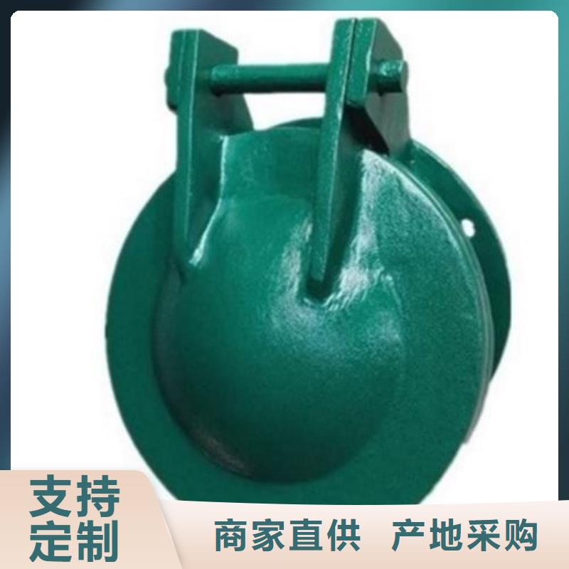 【拍门_球墨铸铁闸门厂家实力商家】