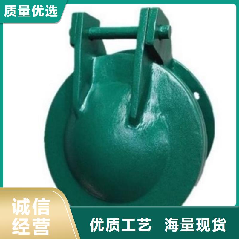 拍门,钢制闸门实体厂家支持定制