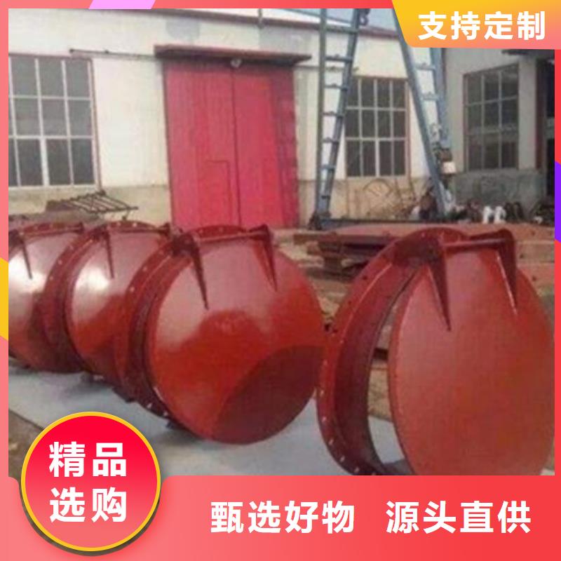 【拍门铸铁闸门源头厂家来图定制】