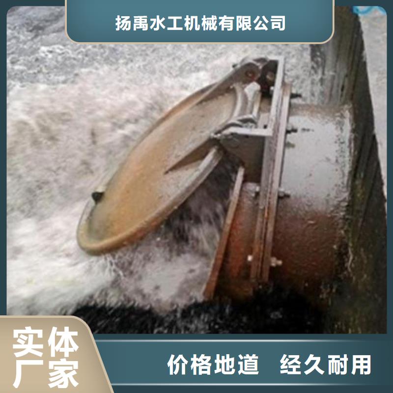 拍门,卷扬启闭机匠心制造