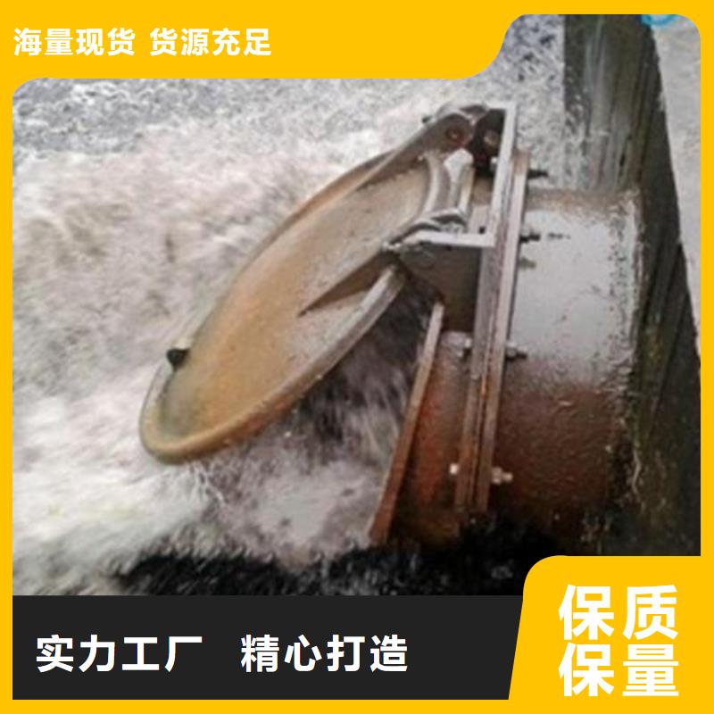 拍门螺杆启闭机优质货源