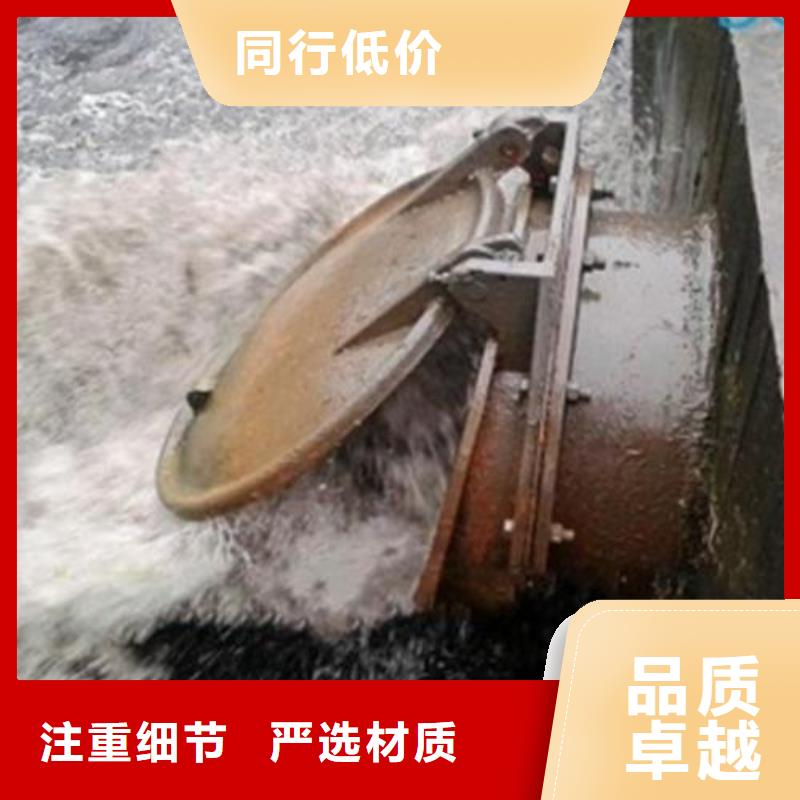 拍门钢制拍门厂家库存丰富