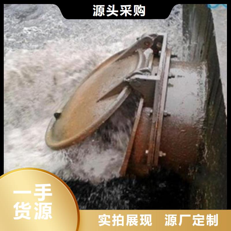 【拍门铸铁闸门源头厂家来图定制】