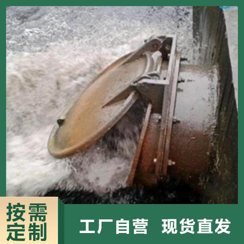 【拍门】钢制闸门诚信经营