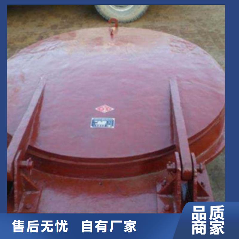拍门,卷扬启闭机匠心制造