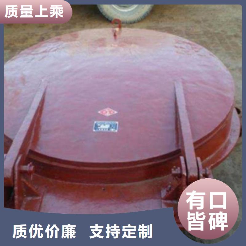 【拍门铸铁闸门源头厂家来图定制】