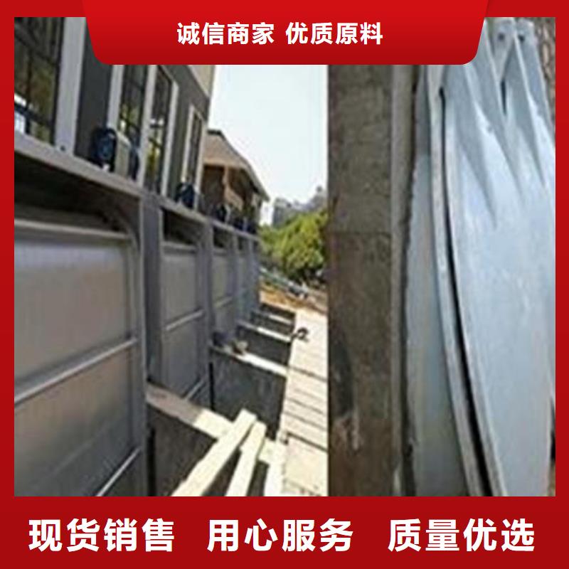 【拍门铸铁闸门源头厂家来图定制】