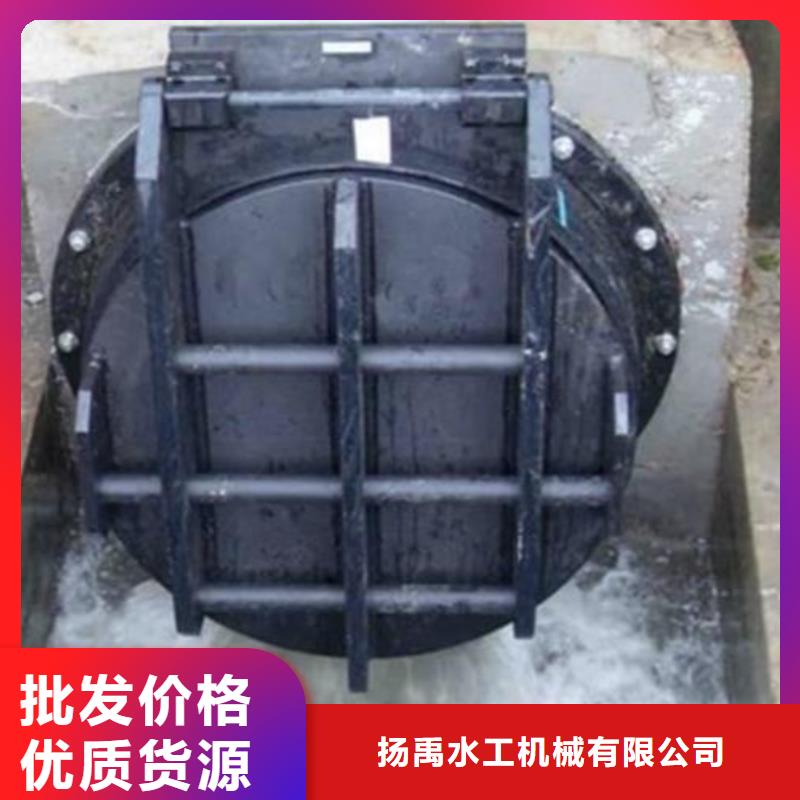 【拍门】钢制闸门诚信经营