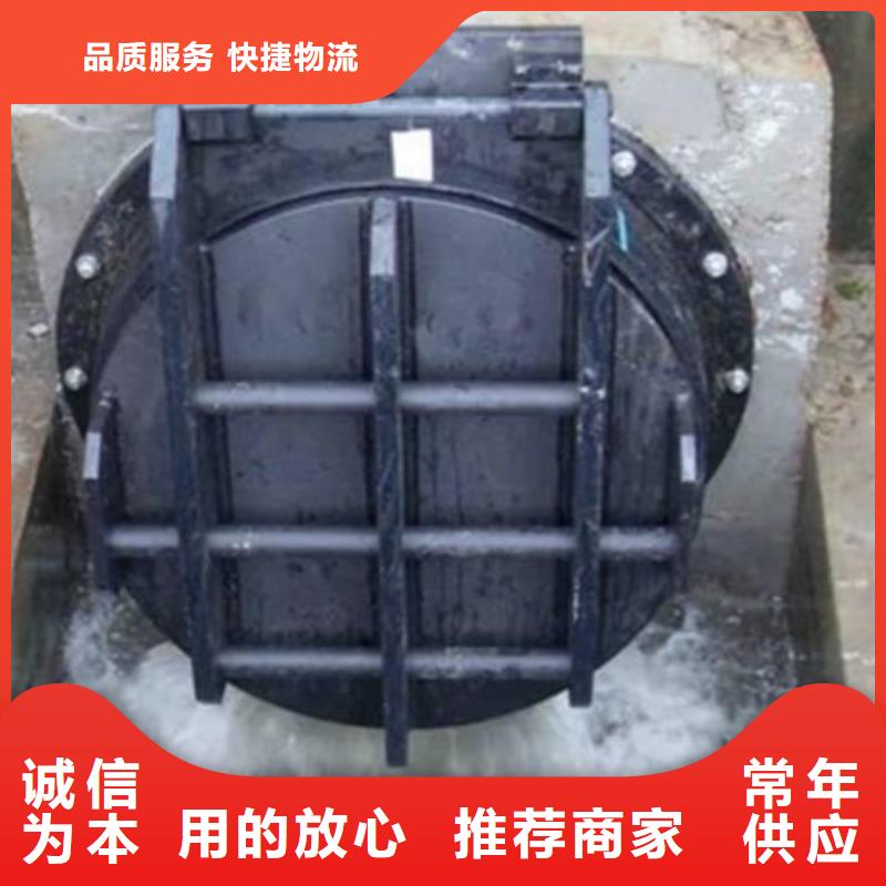拍门_螺杆启闭机专注细节使用放心