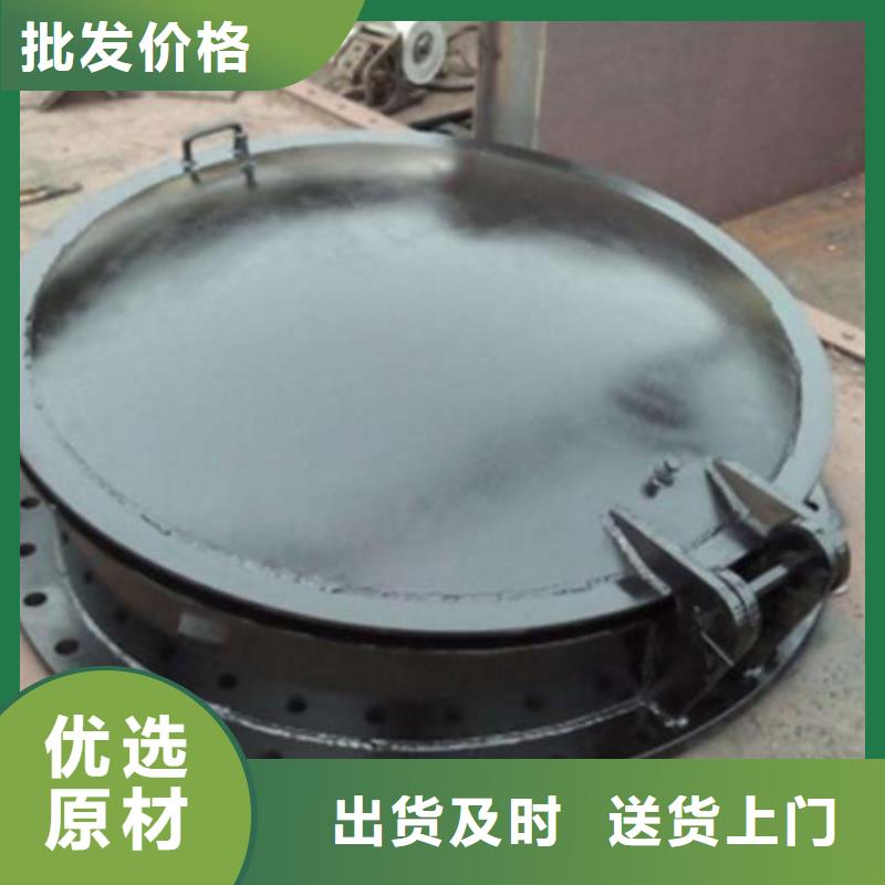 【拍门铸铁闸门源头厂家来图定制】