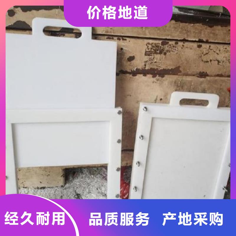 塑料闸门景观钢闸门重信誉厂家