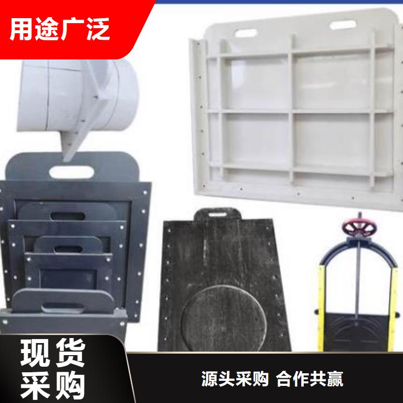 塑料闸门钢制闸门厂家大量现货