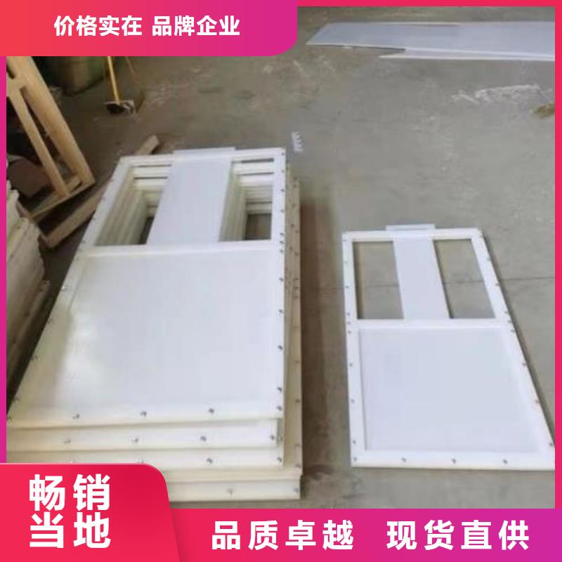 塑料闸门景观钢闸门重信誉厂家