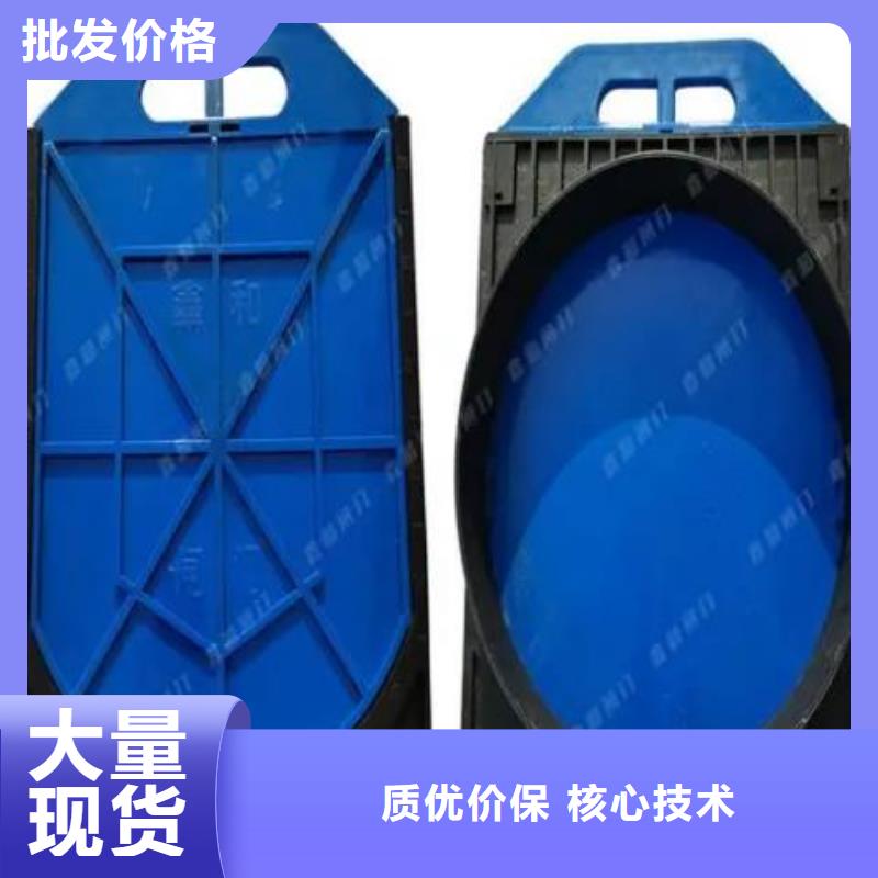 塑料闸门钢制闸门厂家大量现货