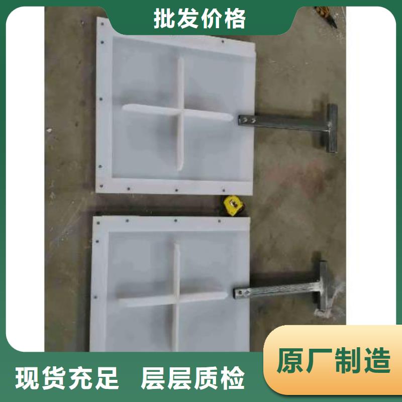 塑料闸门球墨铸铁闸门加工定制