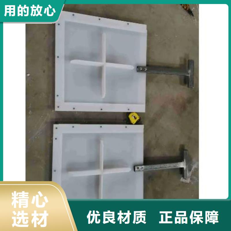 塑料闸门钢制闸门厂家大量现货