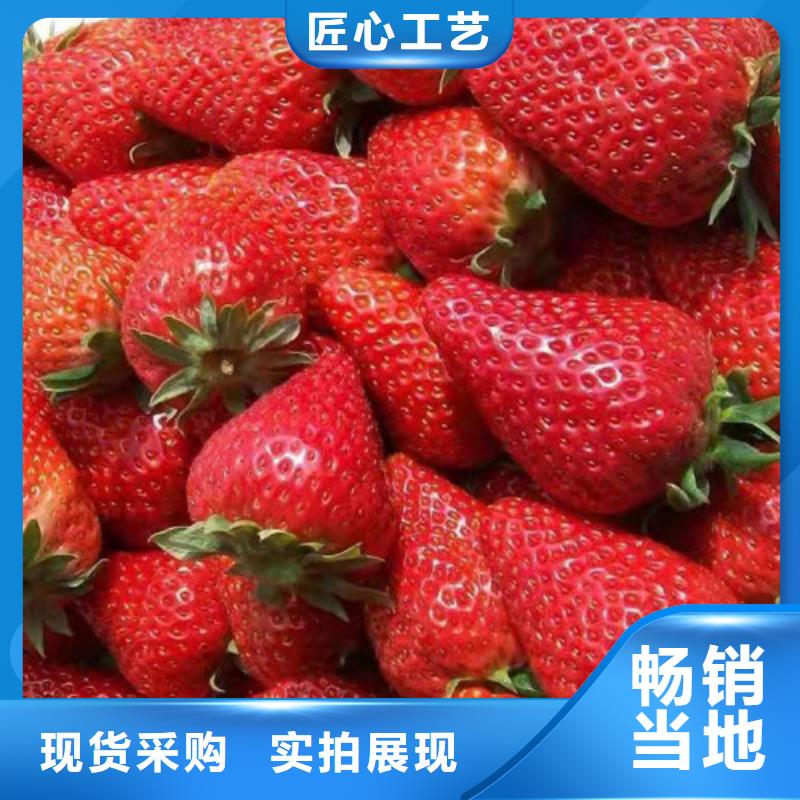 草莓苗,苹果苗支持货到付清