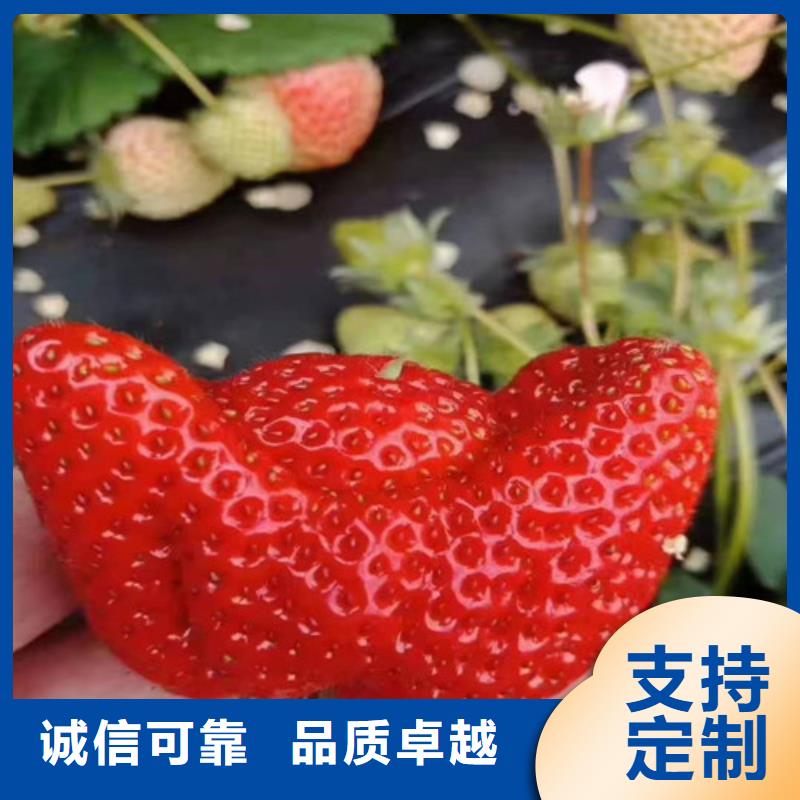 草莓苗葡萄苗工厂认证