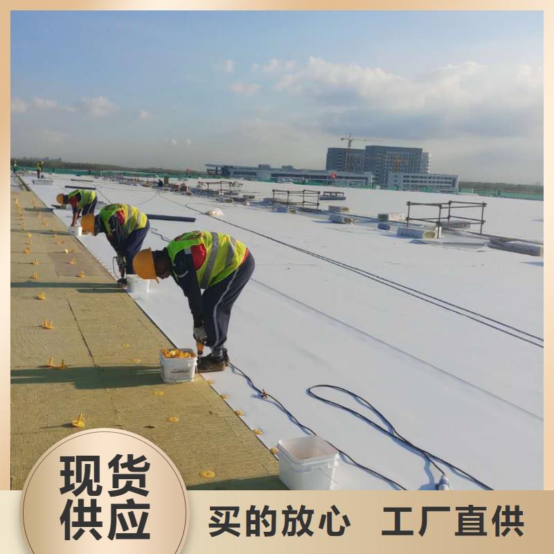 TPO专业专业