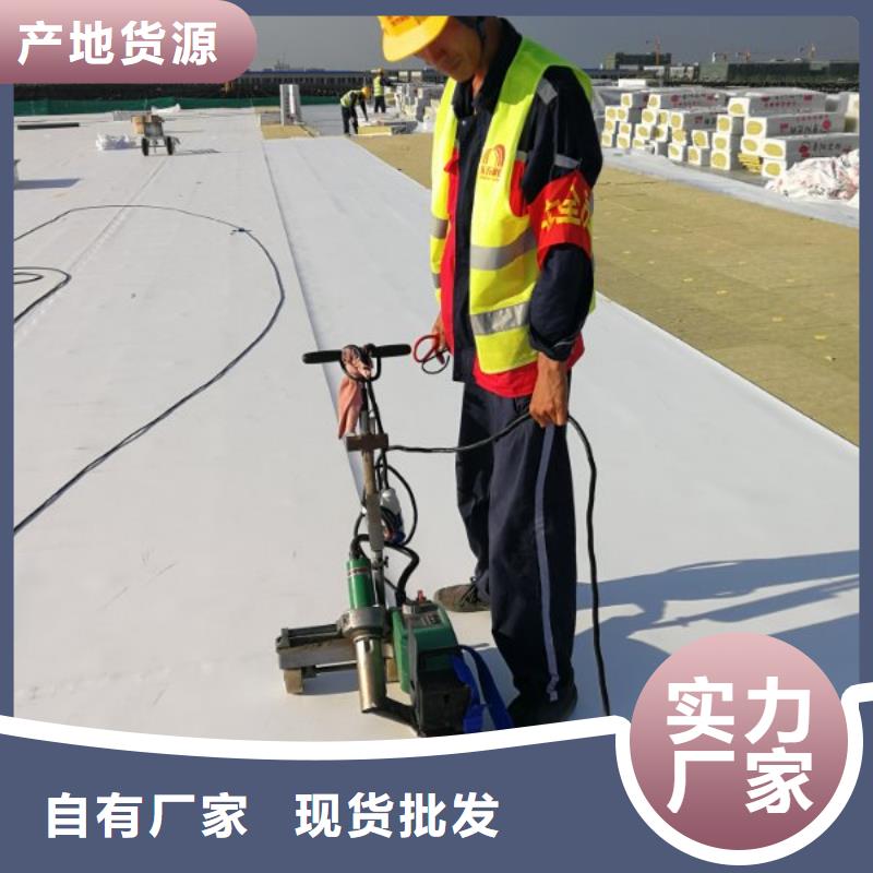 PVC防水卷材施工队TPO防水施工