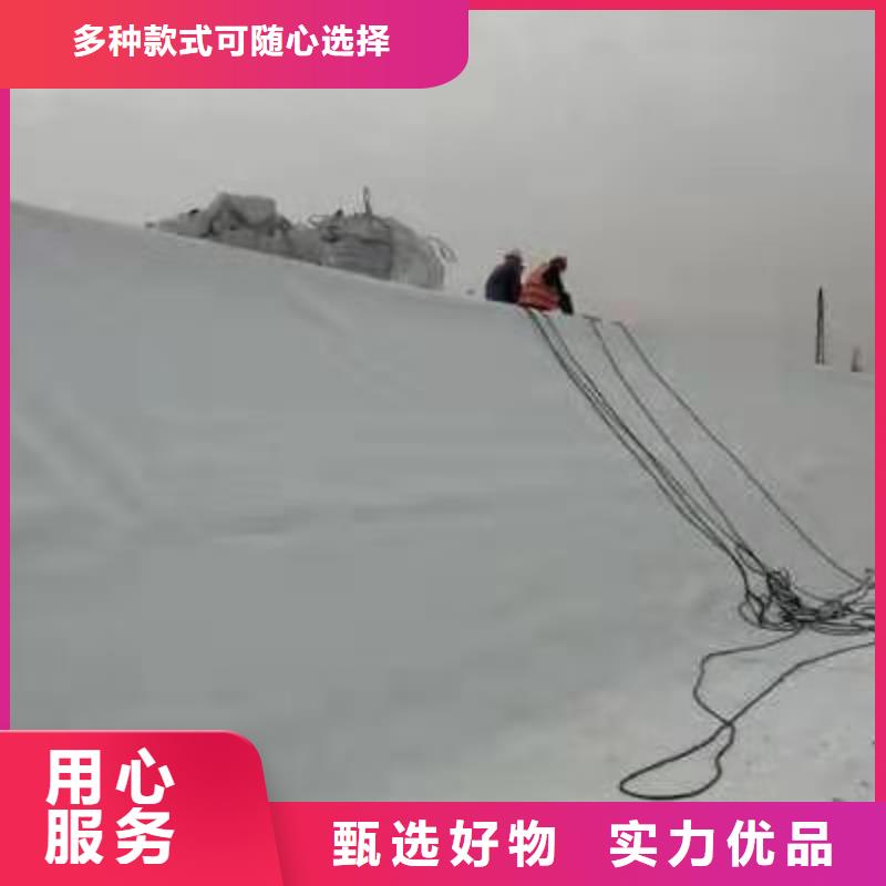 TPO专业优惠