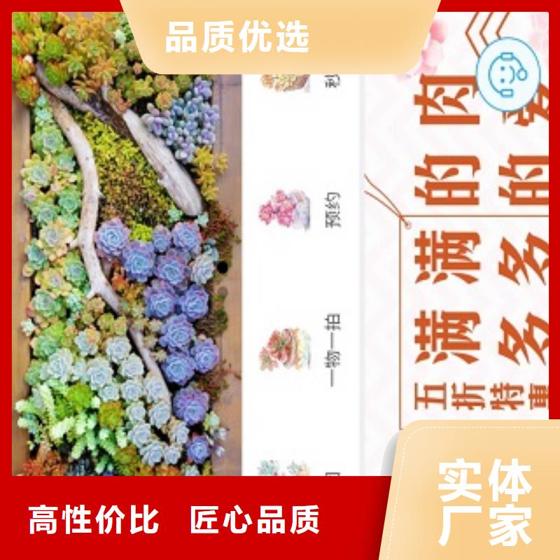 小程序制作开发小程序一站式供应厂家