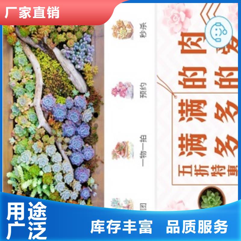 易码头小程序城市合伙