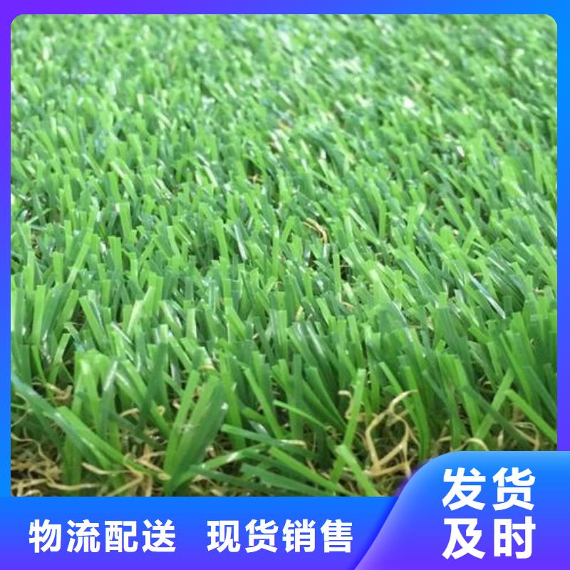 【塑胶跑道】学校体育场免费获取报价