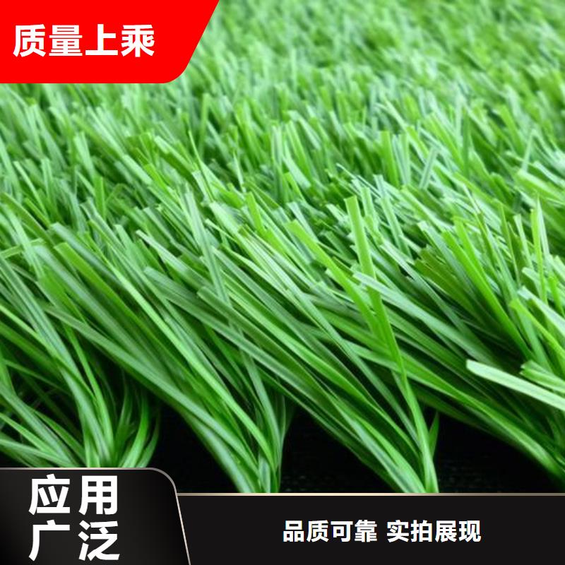 塑胶跑道厂家市场价格