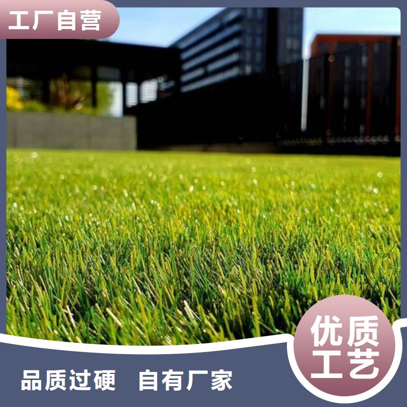 硅PU球场施工铸造金品