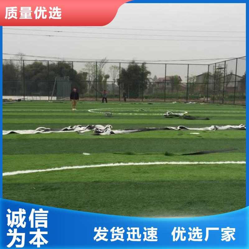 保亭县硅PU球场施工厂家支持定制