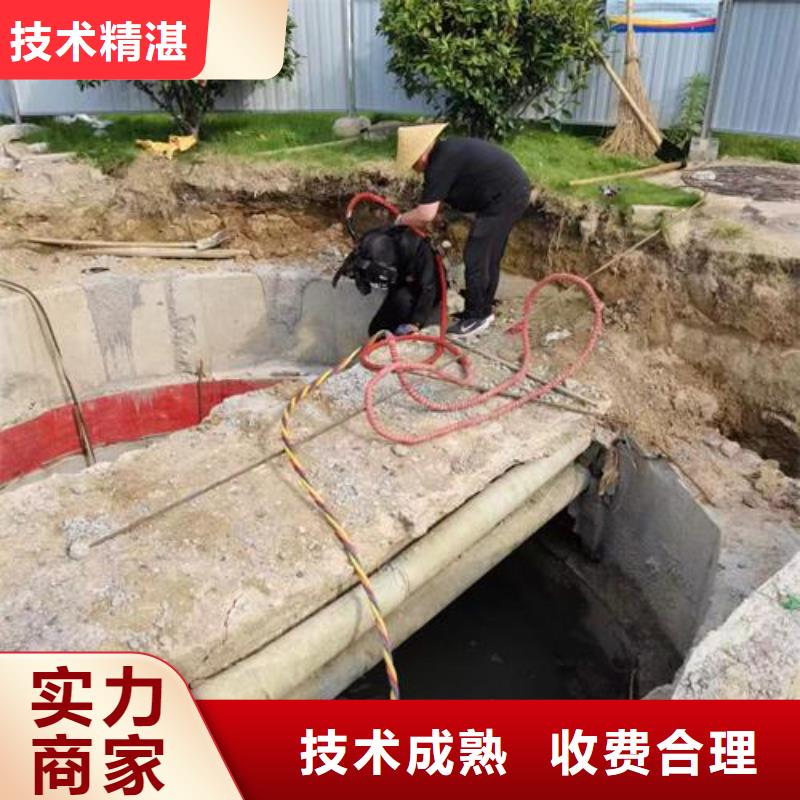 【水下作业】【水下清障】专业团队