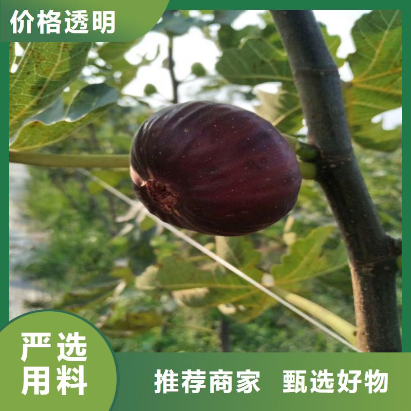 无花果奶油草莓细节严格凸显品质