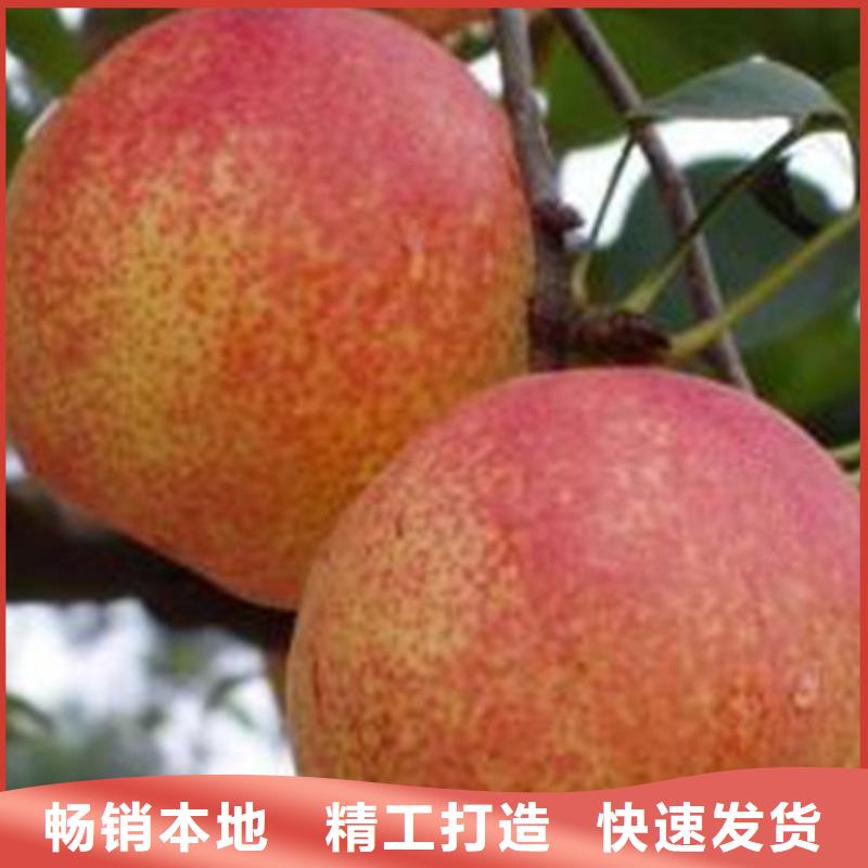 红梨树苗一亩地多少棵