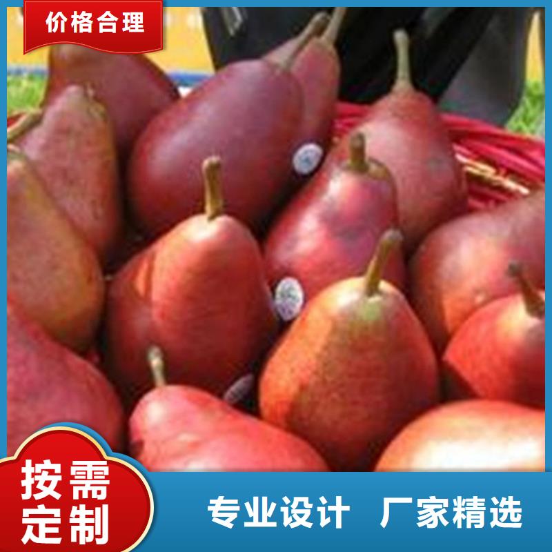 梨树_石榴树厂家直发
