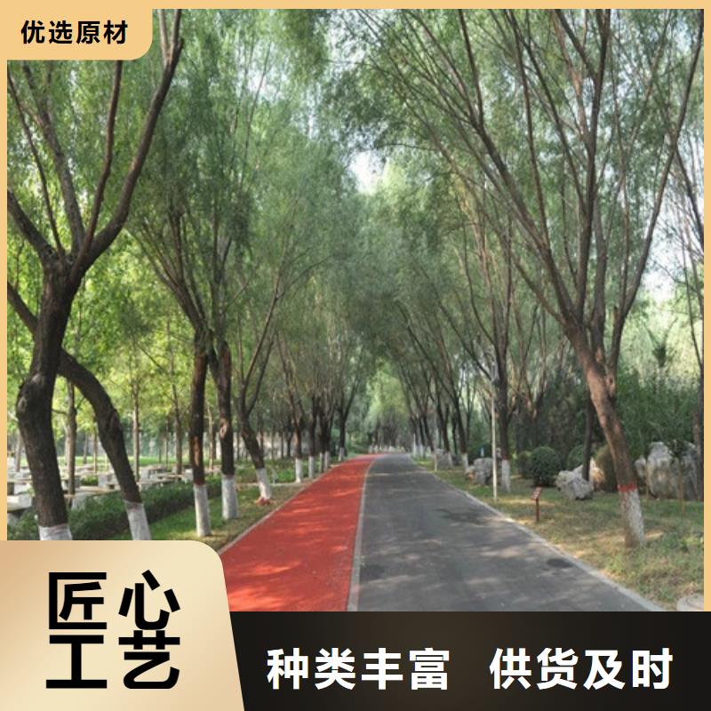 健身步道橡胶跑道材料生产安装