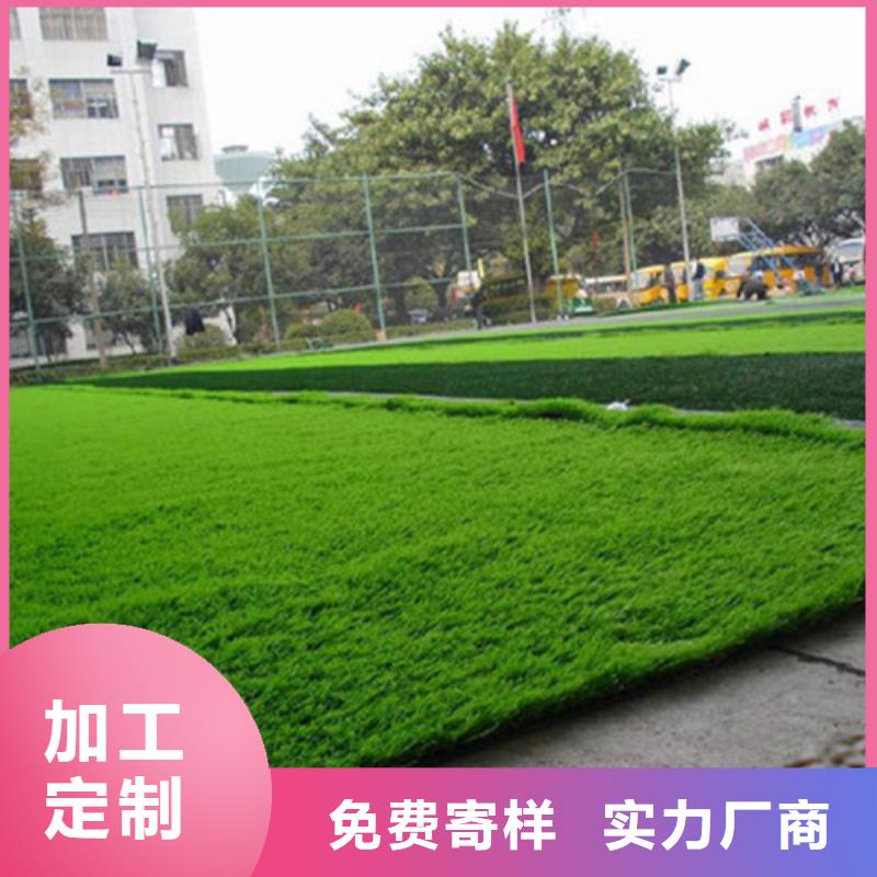 下城区编织人造草坪安装