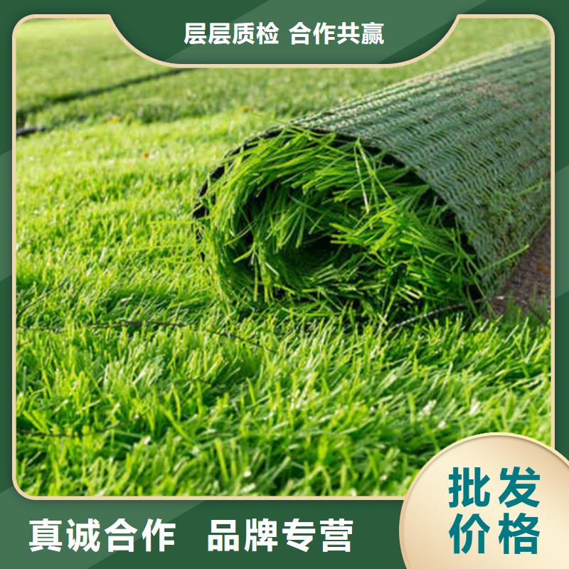 人造草坪陶瓷防实力才是硬道理