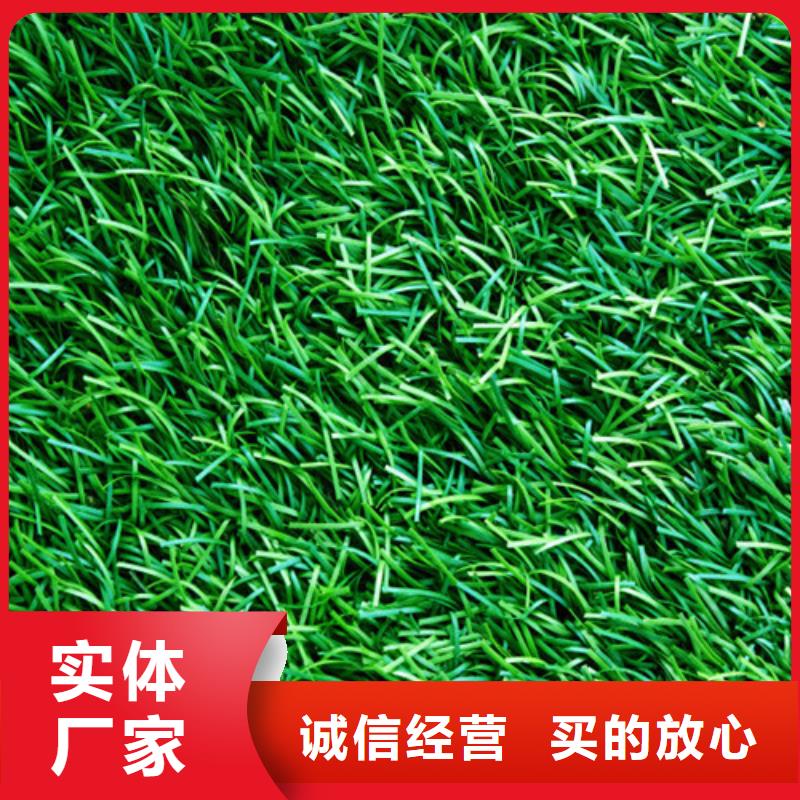 人造草坪健身步道品质之选