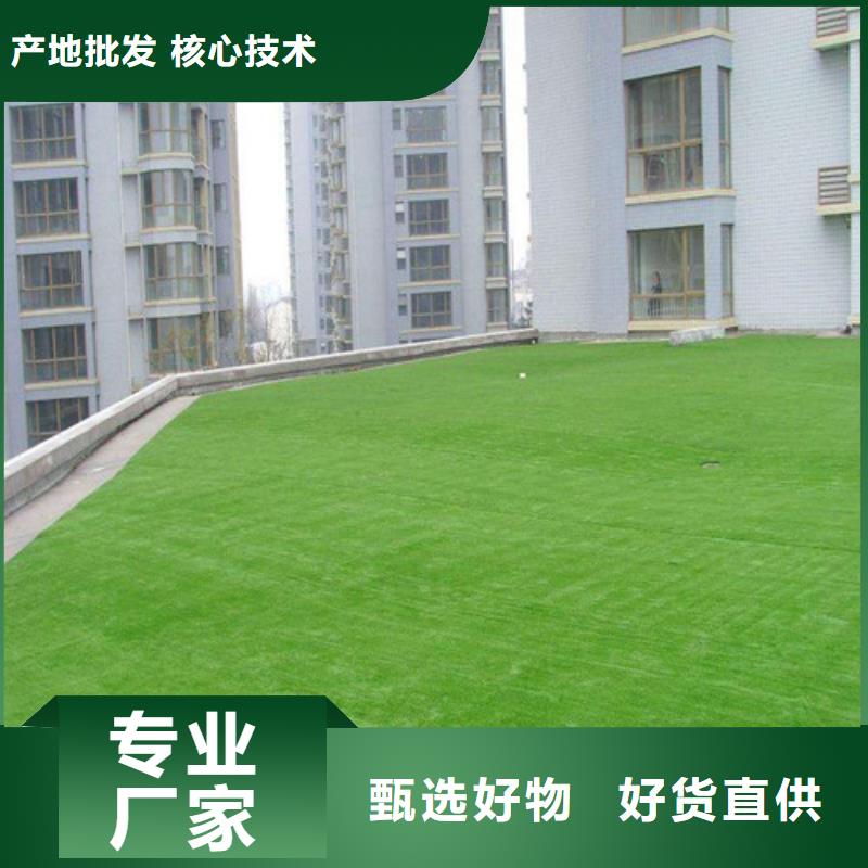 人造草坪【塑胶球场】来电咨询