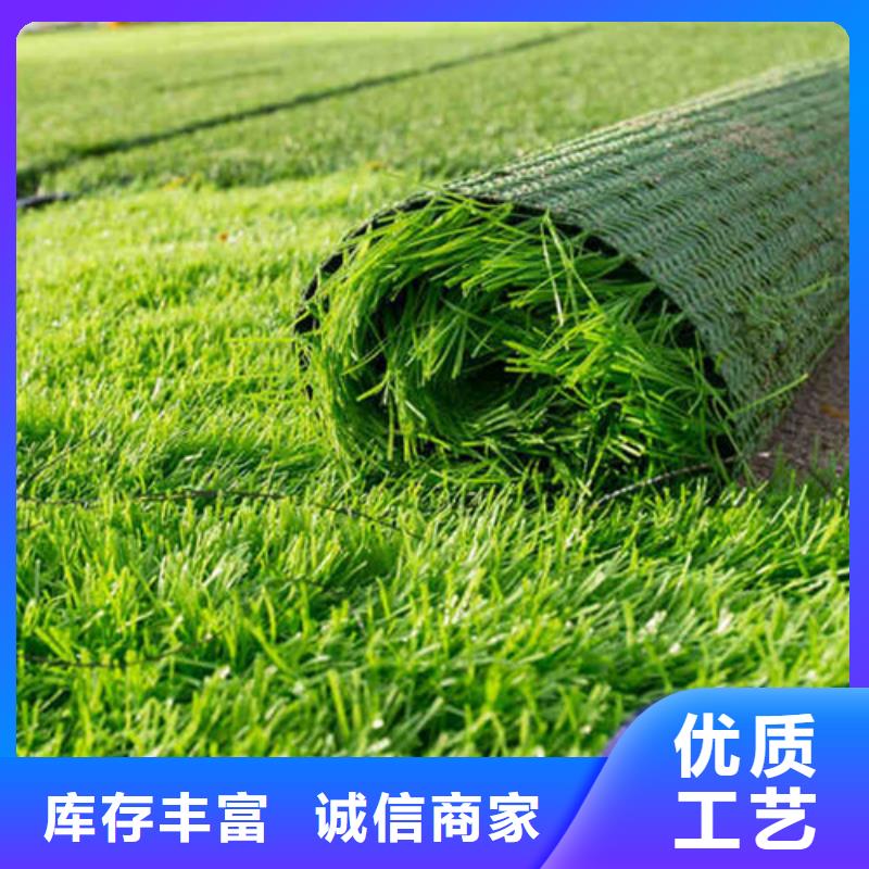 人造草坪,塑胶跑道源厂直销