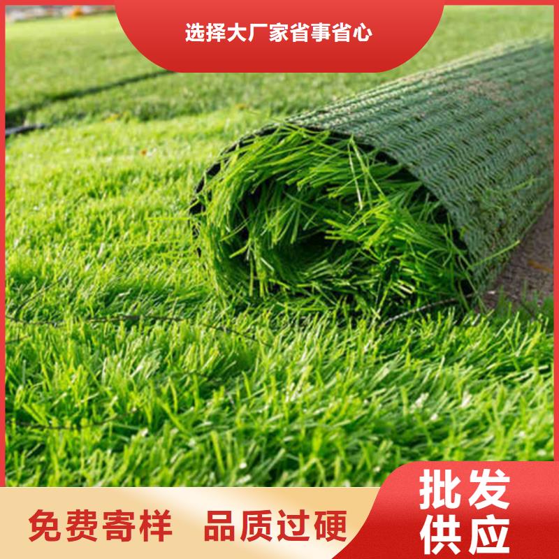 【人造草坪】硅PU球场适用范围广